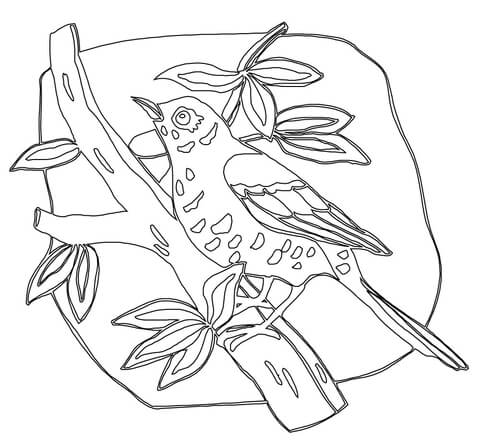 Wood Thrush  Coloring Page